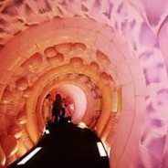 Las colonoscopias regulares podrían prevenir el 40 por ciento de todos los casos de cáncer intestinal