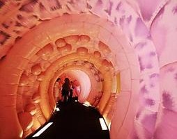 Las colonoscopias regulares podrían prevenir el 40 por ciento de todos los casos de cáncer intestinal