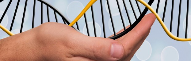Un estudio señala el factor genético que puede hacer heredar la obesidad