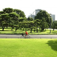 El ejercicio en bicicleta previene la Diabetes Tipo II