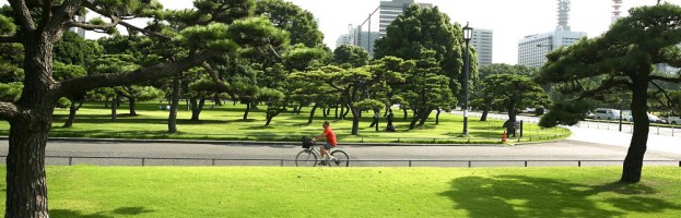 El ejercicio en bicicleta previene la Diabetes Tipo II