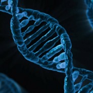Nuevos genes responsables de la obesidad infantil