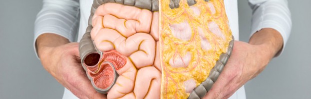 La extirpación del colon está relacionada con un mayor número de diabetes